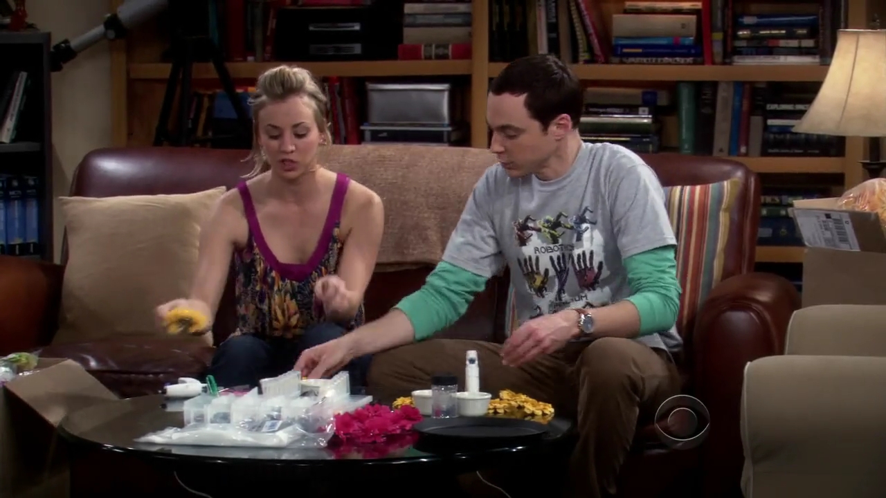 Charmed-Online-dot-net_TBBT-2x180788.jpg