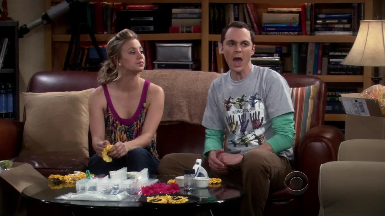 Charmed-Online-dot-net_TBBT-2x180838.jpg
