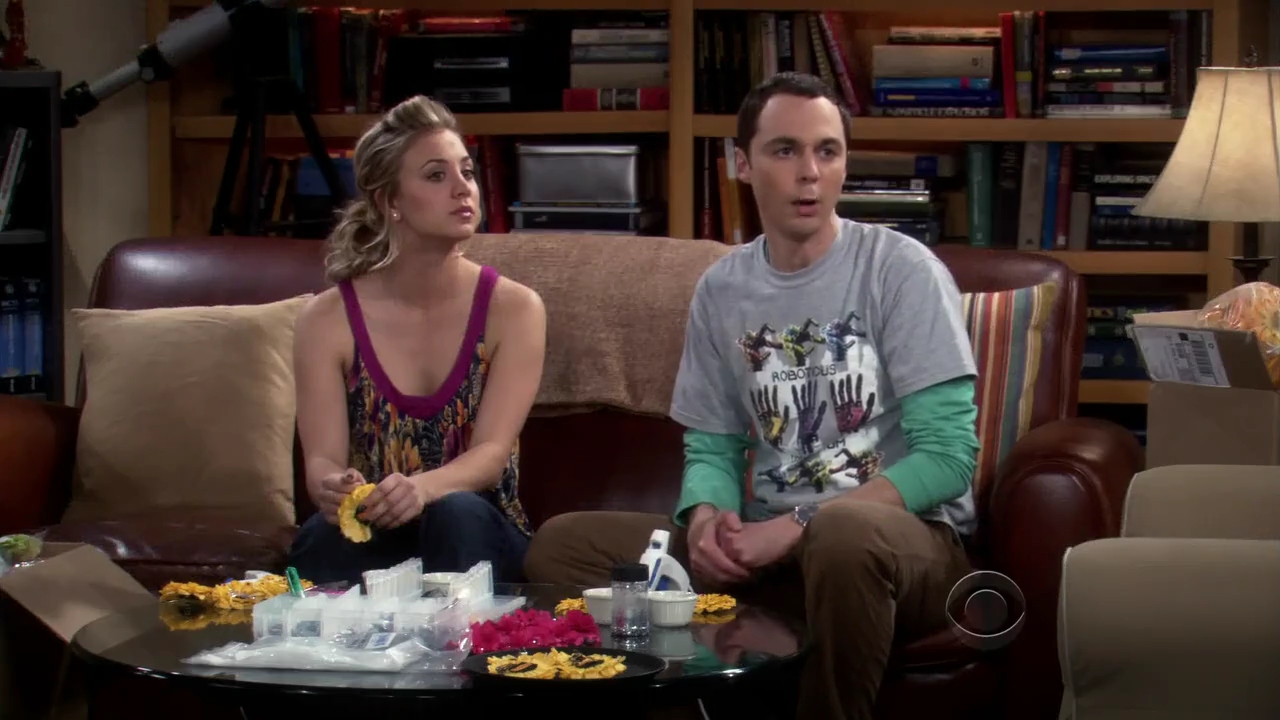 Charmed-Online-dot-net_TBBT-2x180840.jpg
