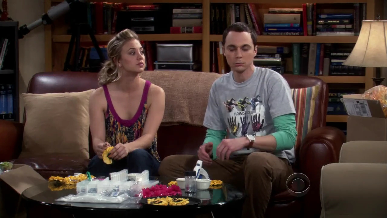 Charmed-Online-dot-net_TBBT-2x180841.jpg