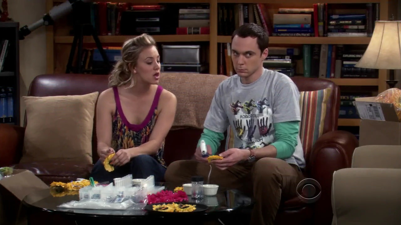 Charmed-Online-dot-net_TBBT-2x180844.jpg