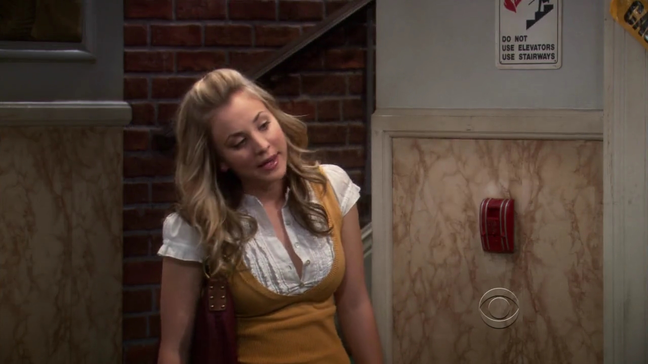 Charmed-Online-dot-net_TBBT-2x20-0277.jpg