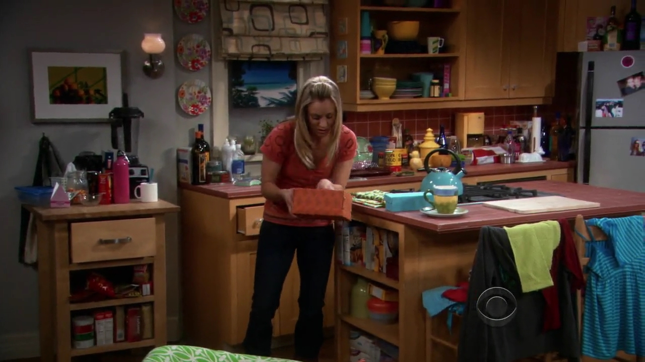 Charmed-Online-dot-net_TBBT-2x21-0455.jpg