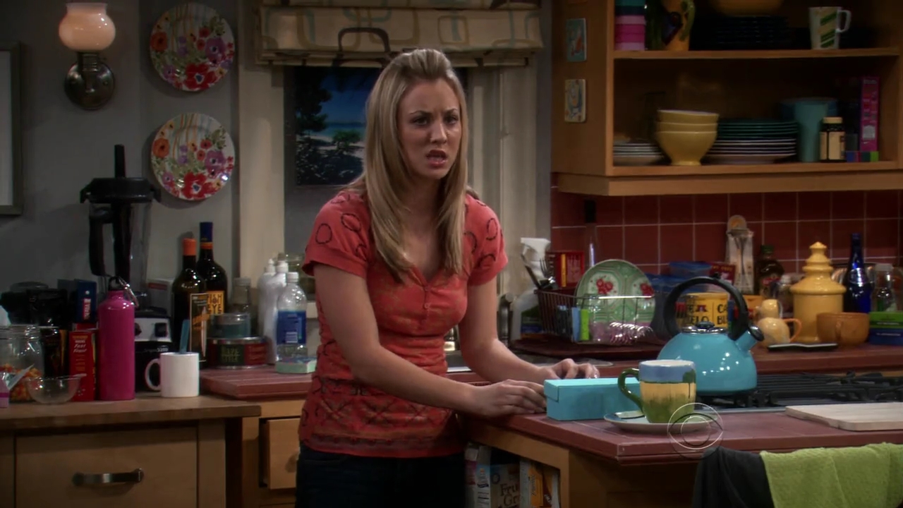 Charmed-Online-dot-net_TBBT-2x21-0461.jpg