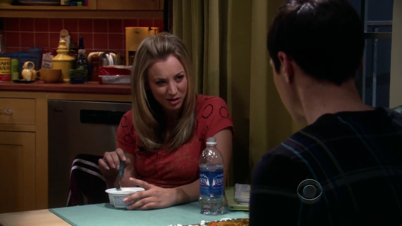 Charmed-Online-dot-net_TBBT-2x21-0709.jpg