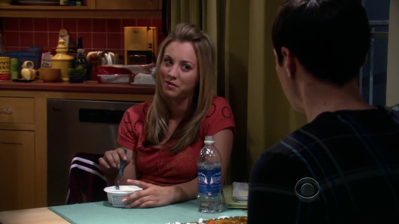 Charmed-Online-dot-net_TBBT-2x21-0711.jpg