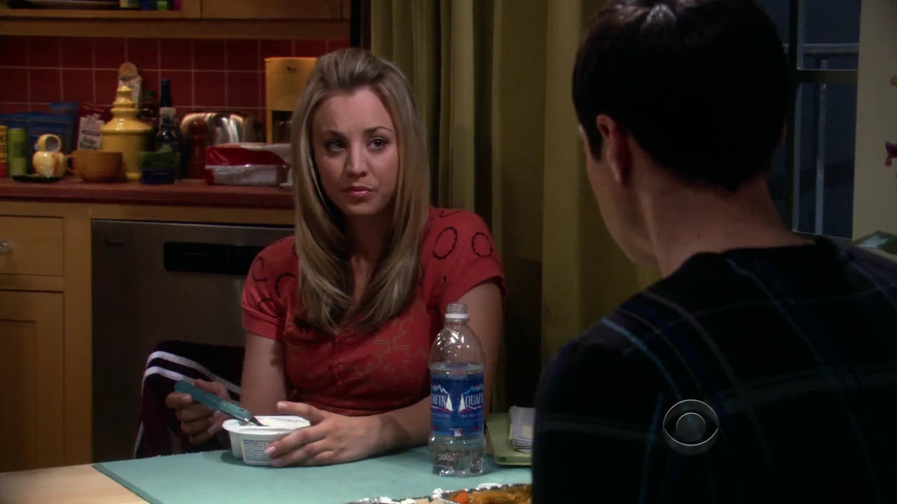 Charmed-Online-dot-net_TBBT-2x21-0719.jpg