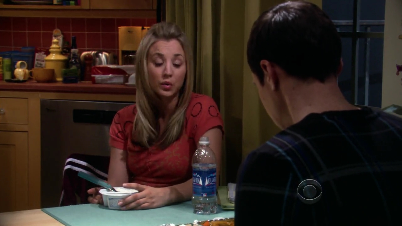 Charmed-Online-dot-net_TBBT-2x21-0724.jpg