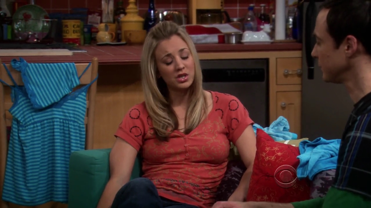 Charmed-Online-dot-net_TBBT-2x21-0804.jpg