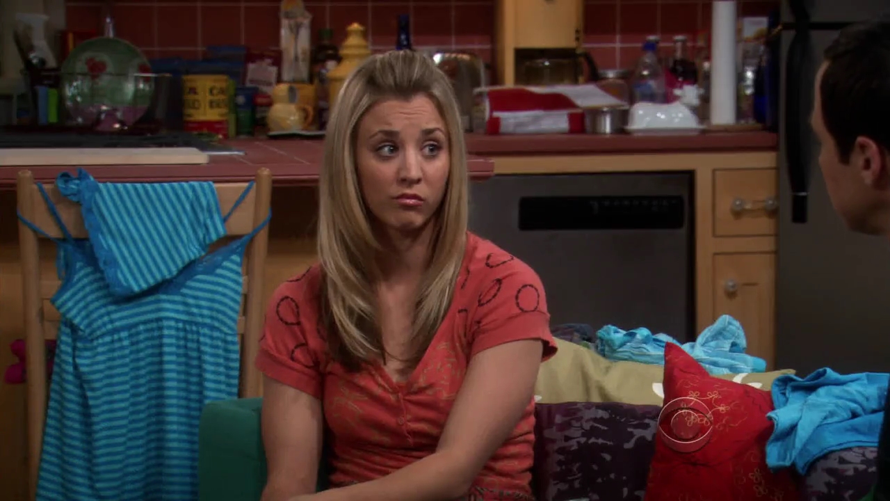 Charmed-Online-dot-net_TBBT-2x21-0870.jpg