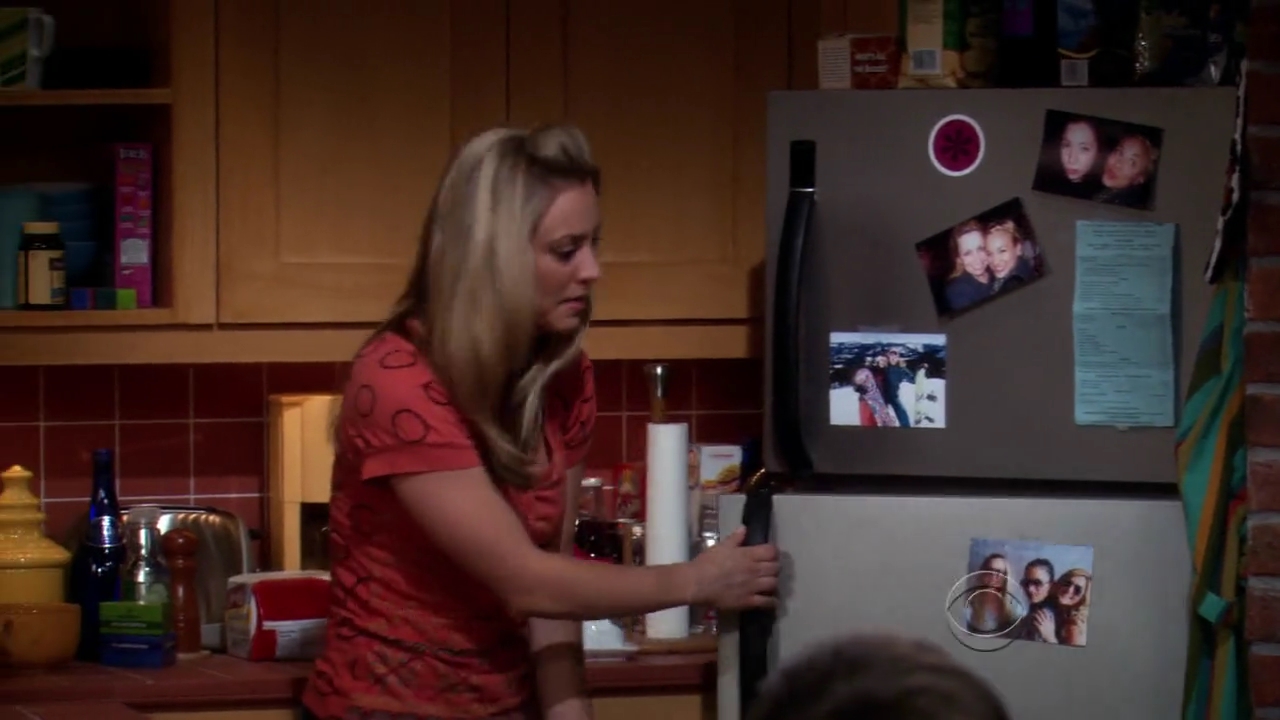 Charmed-Online-dot-net_TBBT-2x21-0885.jpg