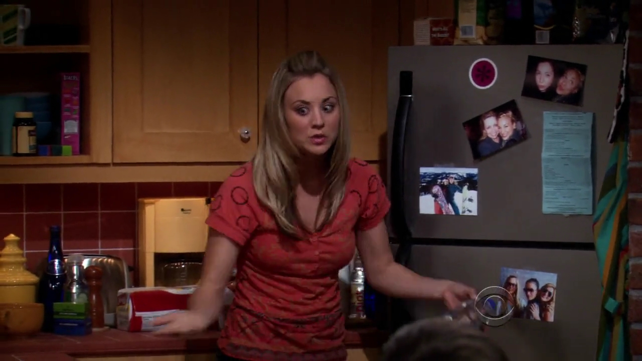 Charmed-Online-dot-net_TBBT-2x21-0886.jpg