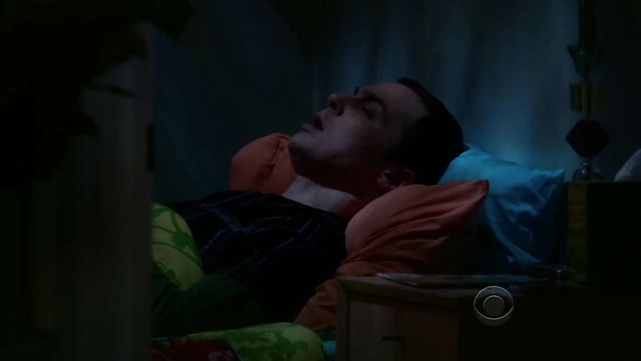Charmed-Online-dot-net_TBBT-2x21-1016.jpg