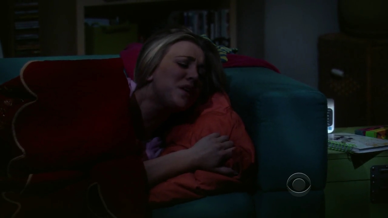 Charmed-Online-dot-net_TBBT-2x21-1020.jpg