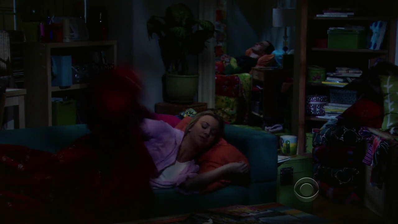Charmed-Online-dot-net_TBBT-2x21-1029.jpg