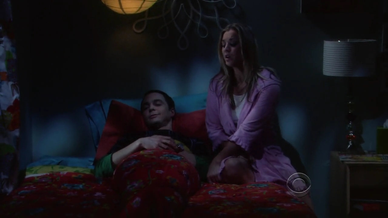 Charmed-Online-dot-net_TBBT-2x21-1064.jpg