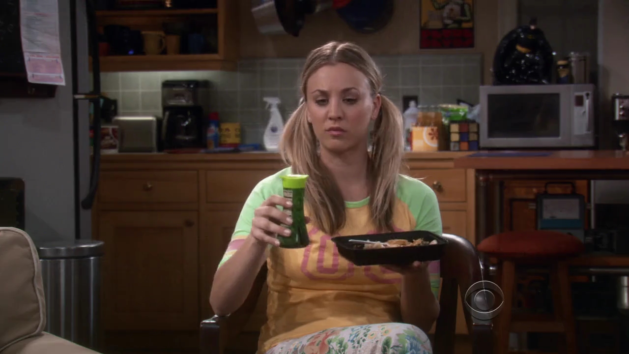 Charmed-Online-dot-net_TBBT-2x22-0232.jpg