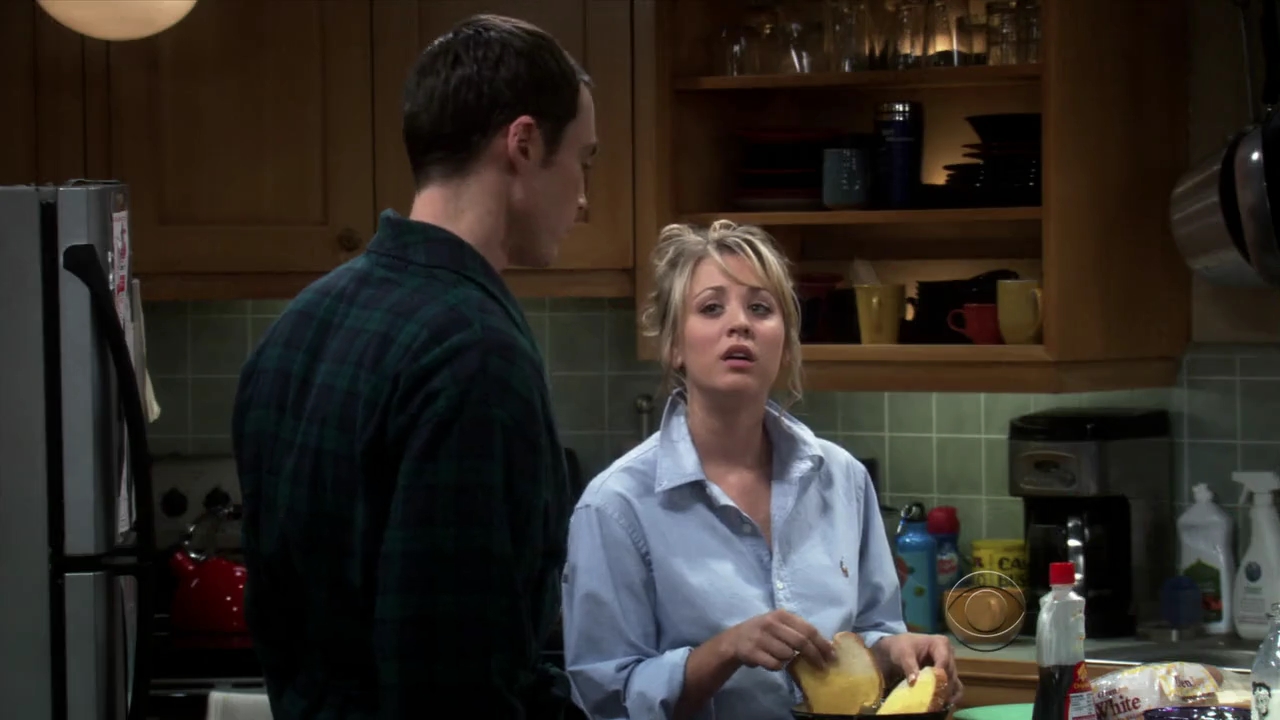 Charmed-Online-dot-net_TBBT3x03-0038.jpg