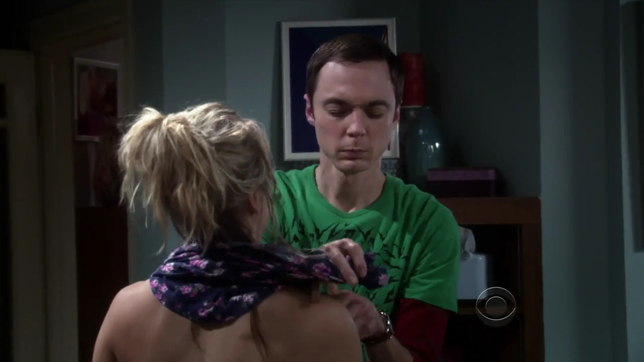 Charmed-Online-dot-net_TBBT3x08-0237.jpg
