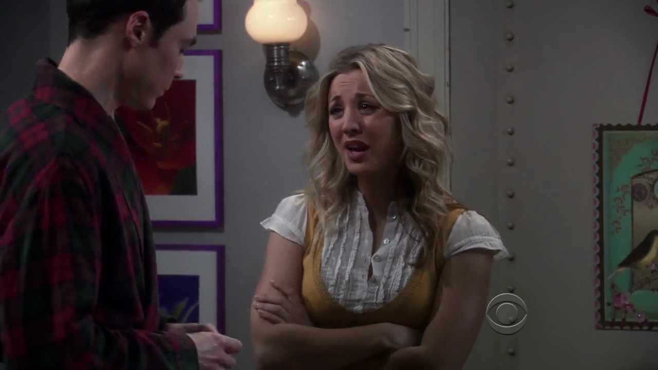 Charmed-Online-dot-net_TBBT3x13-0437.jpg