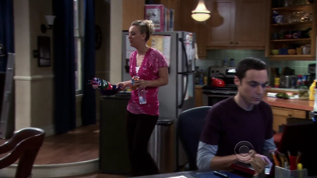Charmed-Online-dot-net_TBBT3x13-0820.jpg