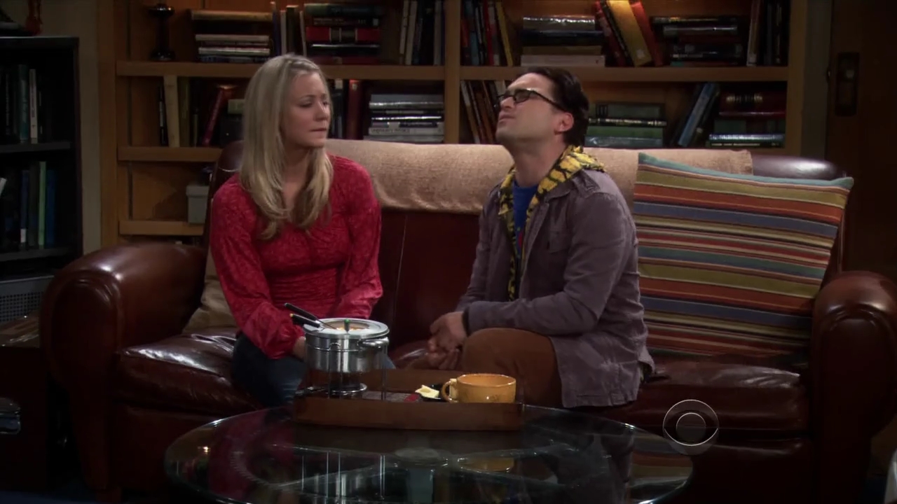 Charmed-Online-dot-net_TBBT3x15-0118.jpg