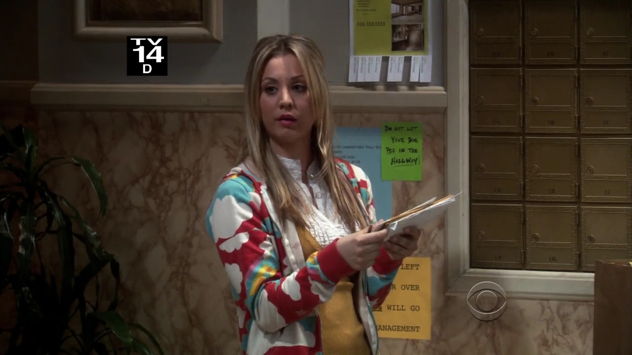 Charmed-Online-dot-net_TBBT3x20-0009.jpg