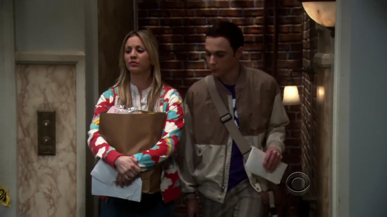 Charmed-Online-dot-net_TBBT3x20-0081.jpg