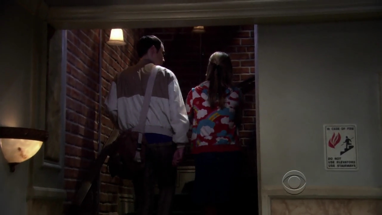 Charmed-Online-dot-net_TBBT3x20-0111.jpg
