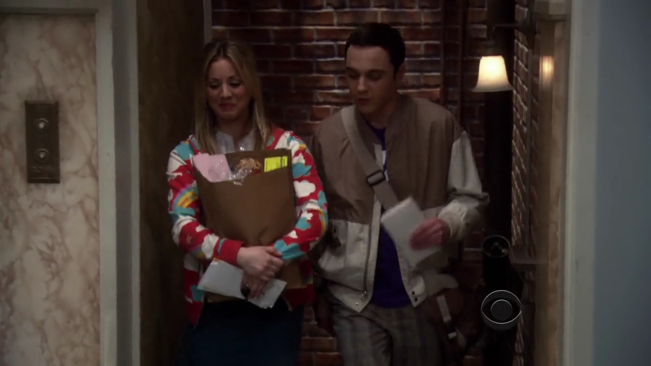 Charmed-Online-dot-net_TBBT3x20-0120.jpg