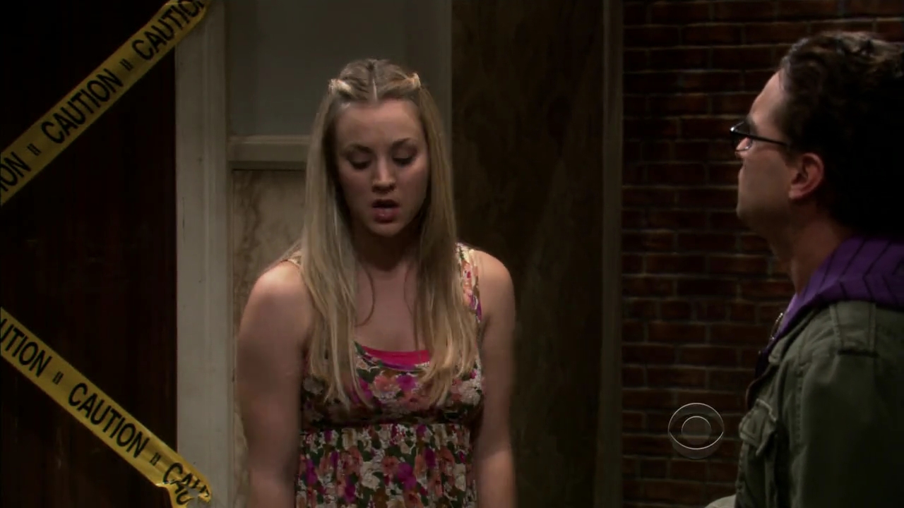 Charmed-Online-dot-net_TBBT4x09-0343.jpg