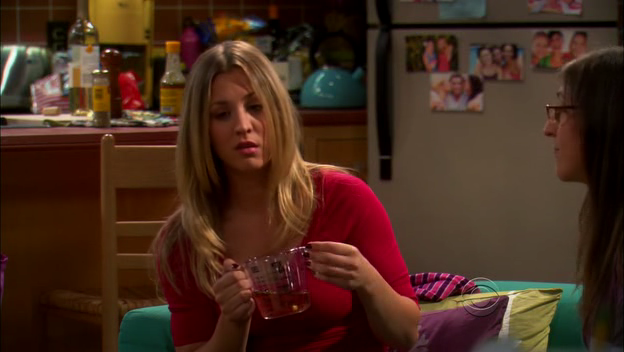 Charmed-Online-dot-TheBigBangTheory5x01-0075.png