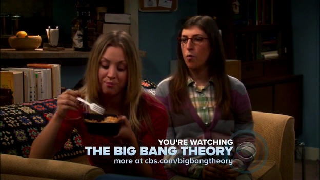Charmed-Online-dot-TheBigBangTheory5x01-0319.png