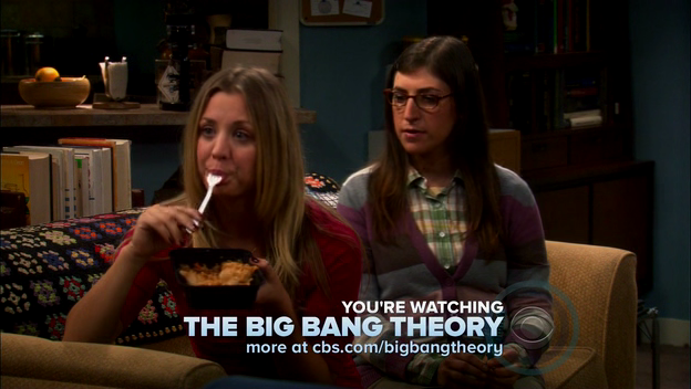 Charmed-Online-dot-TheBigBangTheory5x01-0321.png