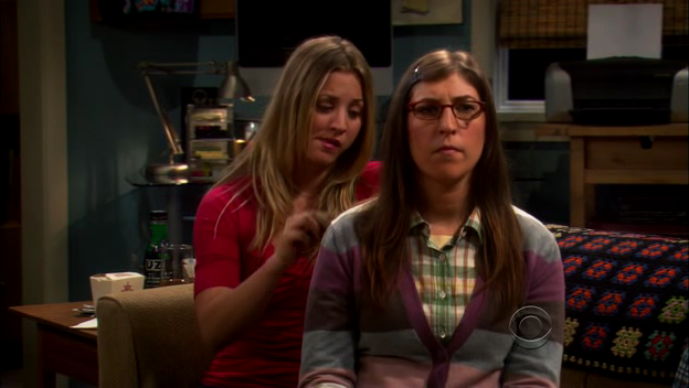 Charmed-Online-dot-TheBigBangTheory5x01-0338.png