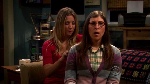 Charmed-Online-dot-TheBigBangTheory5x01-0339.png