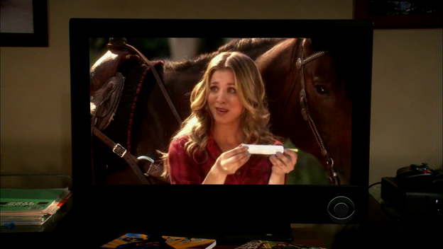 Charmed-Online-dot-TheBigBangTheory5x01-0891.png