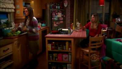 Charmed-Online-dot-TheBigBangTheory5x01-0126.png