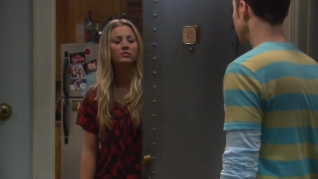 Charmed-Online-dot-TheBigBangTheory5x02-0229.jpg
