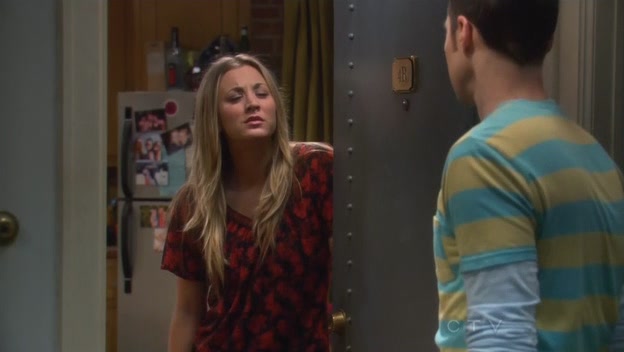 Charmed-Online-dot-TheBigBangTheory5x02-0240.jpg