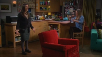 Charmed-Online-dot-TheBigBangTheory5x02-0657.jpg