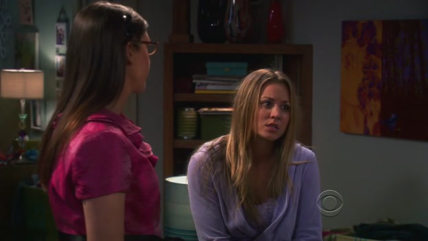 Charmed-Online-dot-TheBigBangTheory5x03-0603.jpg