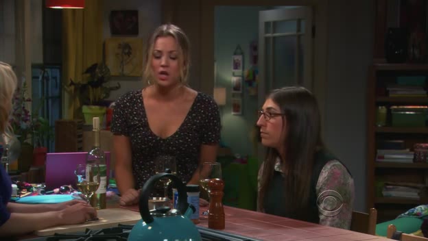 Charmed-Online-dot-TheBigBangTheory5x05-0621.jpg