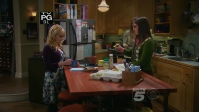 Charmed-Online-dot-TheBigBangTheory5x08-0000.jpg