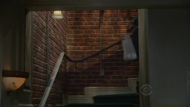 Charmed-Online-dot-TheBigBangTheory5x09-0052.jpg
