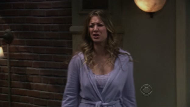 Charmed-Online-dot-net_TBBT-5x13-1067.jpg