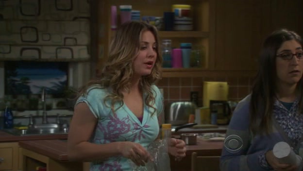 Charmed-Online-dot-net_TBBT-5x13-1118.jpg
