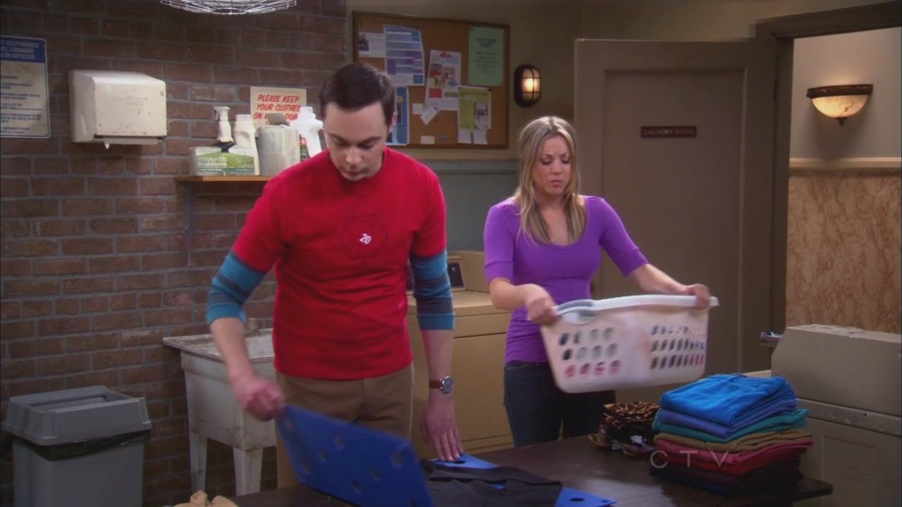 Charmed-Online_dot_net-TBBT2x21TheHawkingExcitation0011.jpg