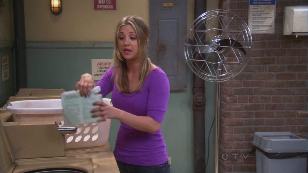 Charmed-Online_dot_net-TBBT2x21TheHawkingExcitation0073.jpg