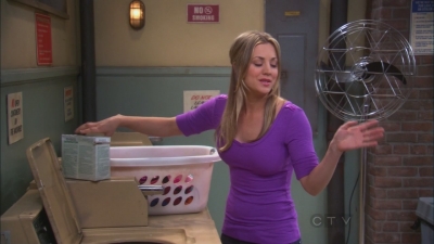 Charmed-Online_dot_net-TBBT2x21TheHawkingExcitation0031.jpg